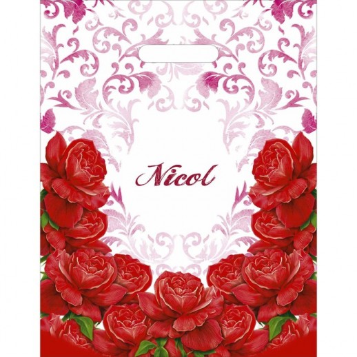 Пакеты с вырубной ручкой с лого и без