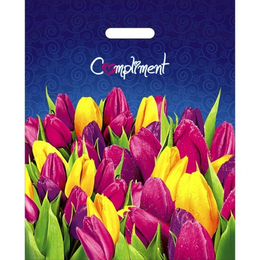 Пакеты с вырубной ручкой с лого и без